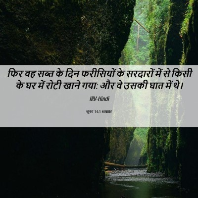 Picture 06 - लूका 14:1 HINIRV - फिर वह सब्त के दिन - Bible Verse Picture
