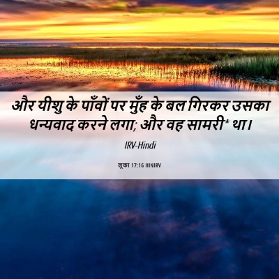 Picture 06 - लूका 17:16 HINIRV - और यीशु के पाँवों - Bible Verse Picture