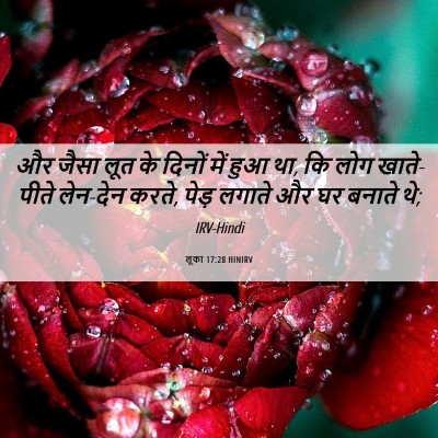 Picture 06 - लूका 17:28 HINIRV - और जैसा लूत के - Bible Verse Picture