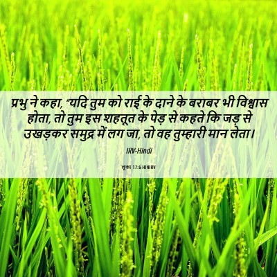 Picture 06 - लूका 17:6 HINIRV - प्रभु ने कहा, “यदि - Bible Verse Picture