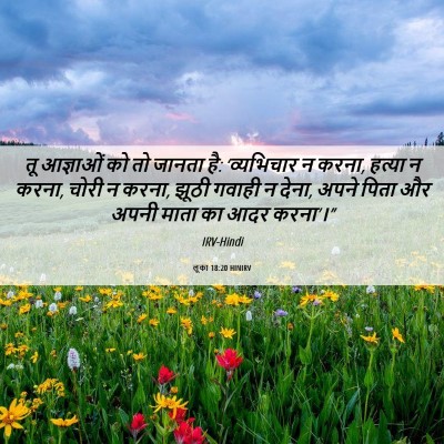 Picture 06 - लूका 18:20 HINIRV - तू आज्ञाओं को तो - Bible Verse Picture