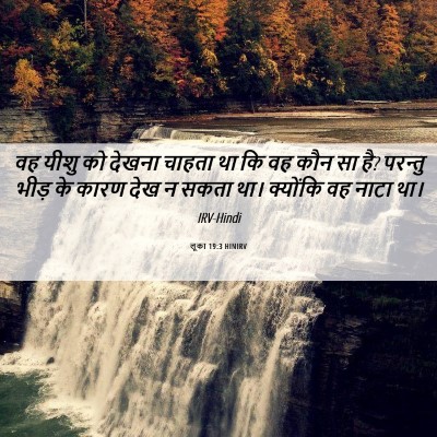Picture 06 - लूका 19:3 HINIRV - वह यीशु को देखना - Bible Verse Picture