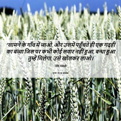 Picture 06 - लूका 19:30 HINIRV - “सामने के गाँव में - Bible Verse Picture