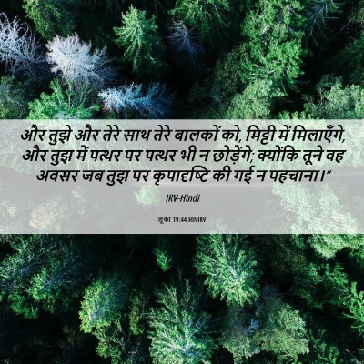 Picture 06 - लूका 19:44 HINIRV - और तुझे और तेरे साथ - Bible Verse Picture