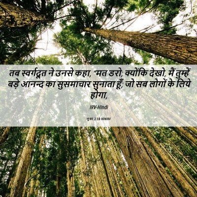 Picture 06 - लूका 2:10 HINIRV - तब स्वर्गदूत ने - Bible Verse Picture