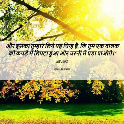 Picture 06 - लूका 2:12 HINIRV - और इसका तुम्हारे - Bible Verse Picture