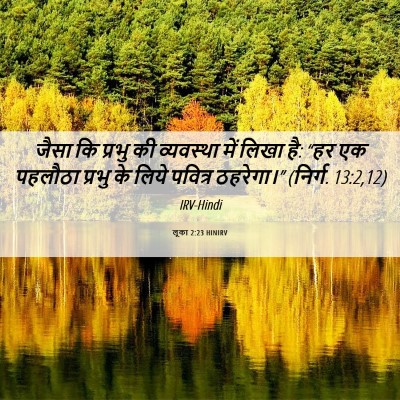Picture 06 - लूका 2:23 HINIRV - जैसा कि प्रभु की - Bible Verse Picture