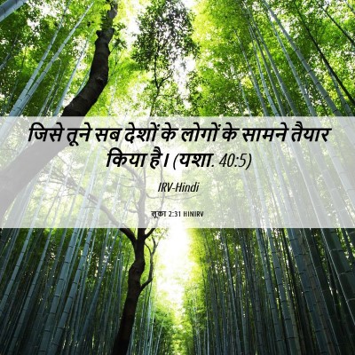 Picture 06 - लूका 2:31 HINIRV - जिसे तूने सब देशों - Bible Verse Picture