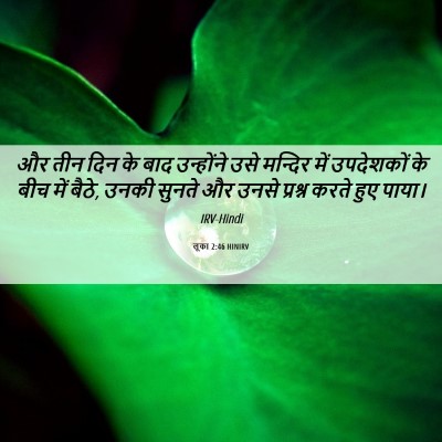 Picture 06 - लूका 2:46 HINIRV - और तीन दिन के बाद - Bible Verse Picture