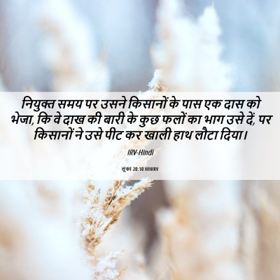 Picture 06 - लूका 20:10 HINIRV - नियुक्त समय पर - Bible Verse Picture