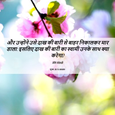 Picture 06 - लूका 20:15 HINIRV - और उन्होंने उसे - Bible Verse Picture