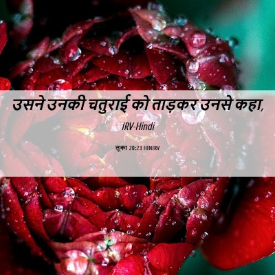 Picture 06 - लूका 20:23 HINIRV - उसने उनकी चतुराई - Bible Verse Picture