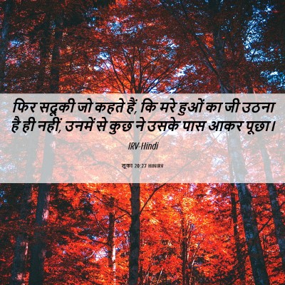 Picture 06 - लूका 20:27 HINIRV - फिर सदूकी जो कहते - Bible Verse Picture