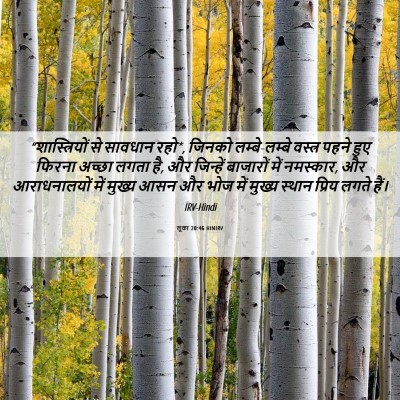 Picture 06 - लूका 20:46 HINIRV - “शास्त्रियों से - Bible Verse Picture