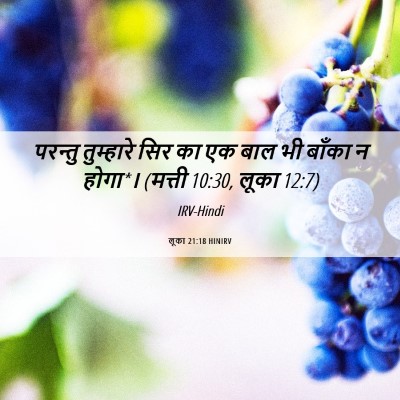 Picture 06 - लूका 21:18 HINIRV - परन्तु तुम्हारे - Bible Verse Picture