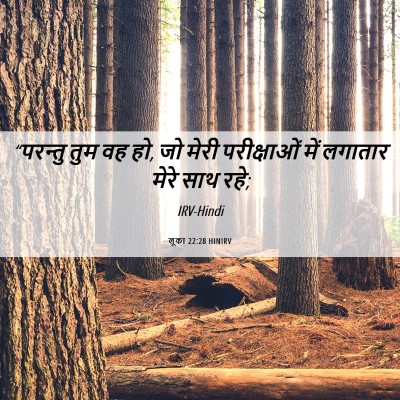 Picture 06 - लूका 22:28 HINIRV - “परन्तु तुम वह हो, - Bible Verse Picture