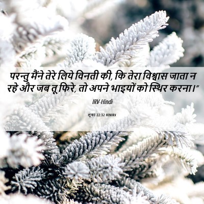 Picture 06 - लूका 22:32 HINIRV - परन्तु मैंने तेरे - Bible Verse Picture