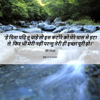 Picture 06 - लूका 22:42 HINIRV - “हे पिता यदि तू - Bible Verse Picture