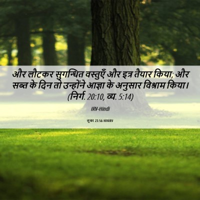 Picture 06 - लूका 23:56 HINIRV - और लौटकर सुगन्धित - Bible Verse Picture