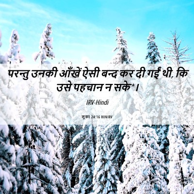 Picture 06 - लूका 24:16 HINIRV - परन्तु उनकी आँखें - Bible Verse Picture