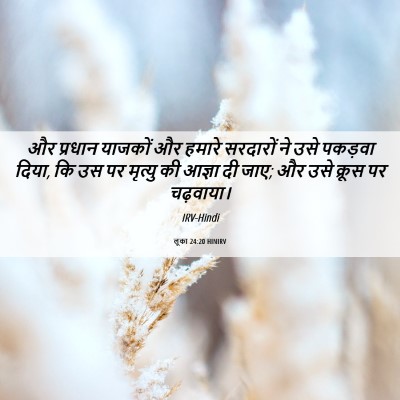 Picture 06 - लूका 24:20 HINIRV - और प्रधान याजकों - Bible Verse Picture