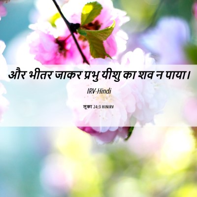 Picture 06 - लूका 24:3 HINIRV - और भीतर जाकर प्रभु - Bible Verse Picture