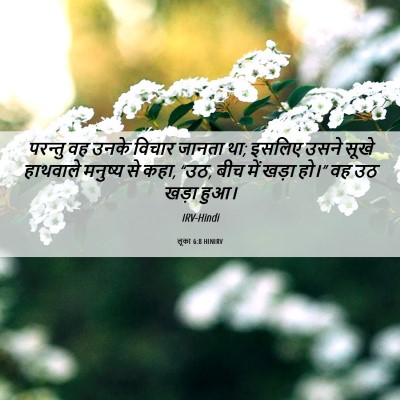 Picture 06 - लूका 6:8 HINIRV - परन्तु वह उनके - Bible Verse Picture