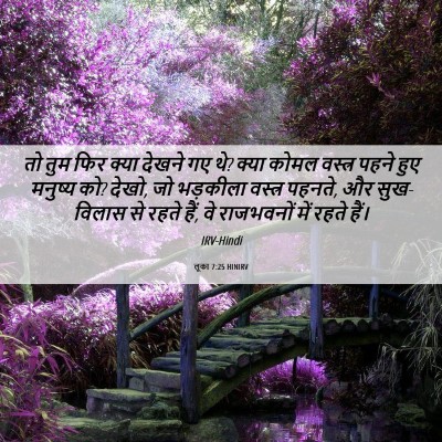 Picture 06 - लूका 7:25 HINIRV - तो तुम फिर क्या - Bible Verse Picture