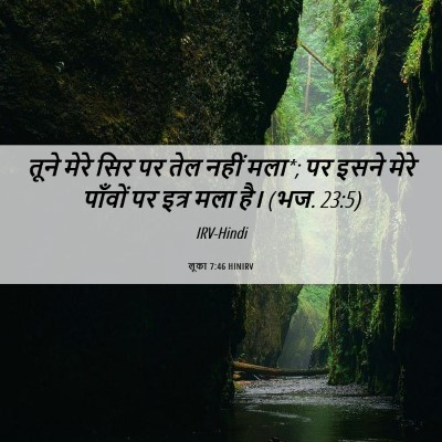 Picture 06 - लूका 7:46 HINIRV - तूने मेरे सिर पर - Bible Verse Picture