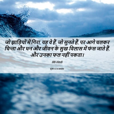 Picture 06 - लूका 8:14 HINIRV - जो झाड़ियों में - Bible Verse Picture