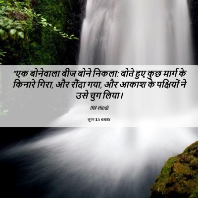 Picture 06 - लूका 8:5 HINIRV - “एक बोनेवाला बीज - Bible Verse Picture