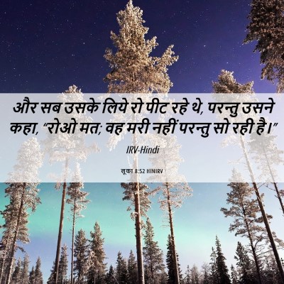 Picture 06 - लूका 8:52 HINIRV - और सब उसके लिये रो - Bible Verse Picture