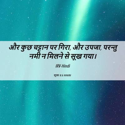 Picture 06 - लूका 8:6 HINIRV - और कुछ चट्टान पर - Bible Verse Picture