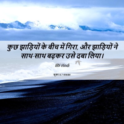 Picture 06 - लूका 8:7 HINIRV - कुछ झाड़ियों के - Bible Verse Picture