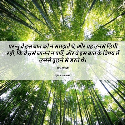 Picture 06 - लूका 9:45 HINIRV - परन्तु वे इस बात को - Bible Verse Picture