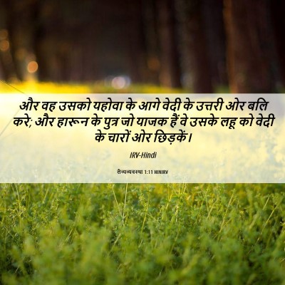 Picture 06 - लैव्यव्यवस्था 1:11 HINIRV - और वह उसको यहोवा के - Bible Verse Picture
