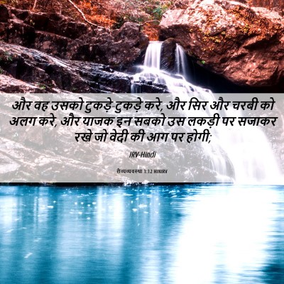 Picture 06 - लैव्यव्यवस्था 1:12 HINIRV - और वह उसको - Bible Verse Picture