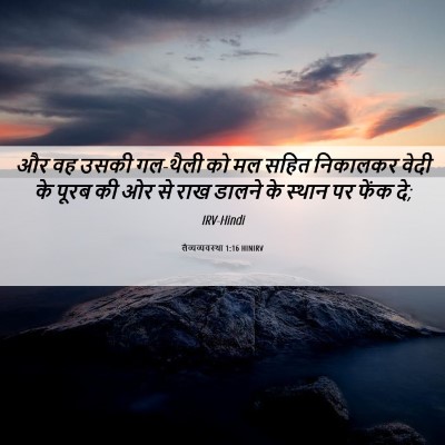 Picture 06 - लैव्यव्यवस्था 1:16 HINIRV - और वह उसकी गल-थैली - Bible Verse Picture