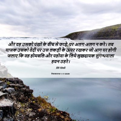 Picture 06 - लैव्यव्यवस्था 1:17 HINIRV - और वह उसको पंखों के - Bible Verse Picture