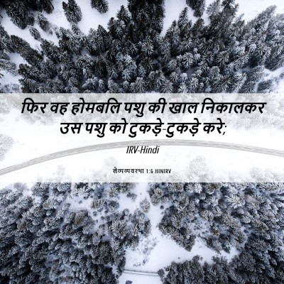 Picture 06 - लैव्यव्यवस्था 1:6 HINIRV - फिर वह होमबलि पशु - Bible Verse Picture