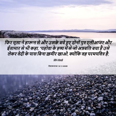 Picture 06 - लैव्यव्यवस्था 10:12 HINIRV - फिर मूसा ने हारून - Bible Verse Picture