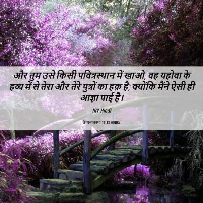 Picture 06 - लैव्यव्यवस्था 10:13 HINIRV - और तुम उसे किसी - Bible Verse Picture