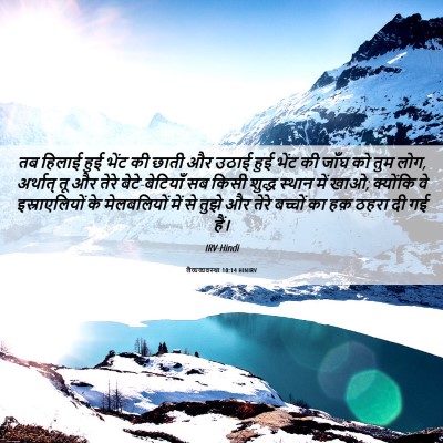 Picture 06 - लैव्यव्यवस्था 10:14 HINIRV - तब हिलाई हुई भेंट - Bible Verse Picture