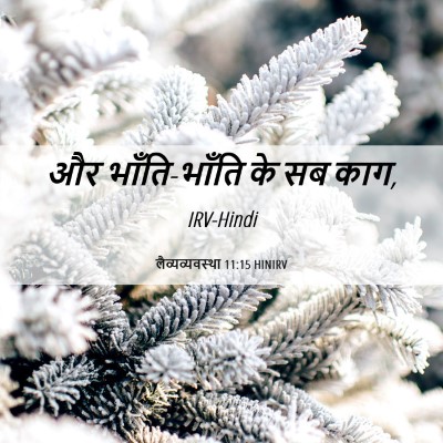 Picture 06 - लैव्यव्यवस्था 11:15 HINIRV - और भाँति-भाँति के - Bible Verse Picture