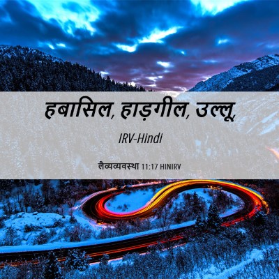 Picture 06 - लैव्यव्यवस्था 11:17 HINIRV - हबासिल, हाड़गील, - Bible Verse Picture