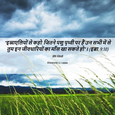 Picture 06 - लैव्यव्यवस्था 11:2 HINIRV - “इस्राएलियों से - Bible Verse Picture