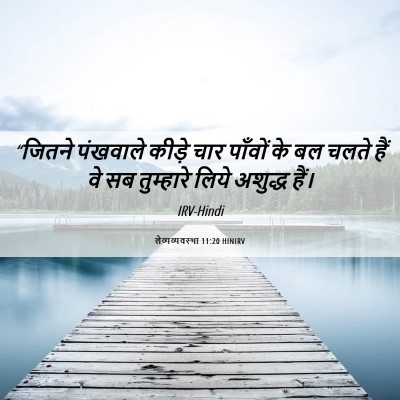 Picture 06 - लैव्यव्यवस्था 11:20 HINIRV - “जितने पंखवाले - Bible Verse Picture