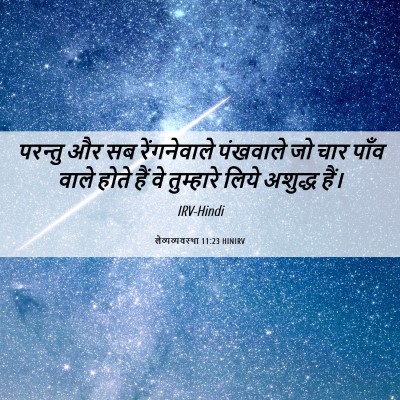 Picture 06 - लैव्यव्यवस्था 11:23 HINIRV - परन्तु और सब - Bible Verse Picture