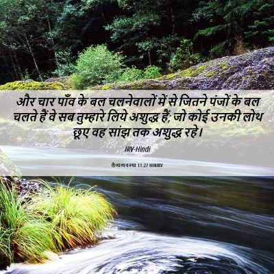 Picture 06 - लैव्यव्यवस्था 11:27 HINIRV - और चार पाँव के बल - Bible Verse Picture