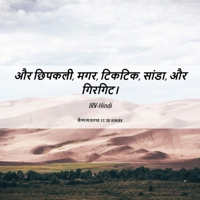 Picture 06 - लैव्यव्यवस्था 11:30 HINIRV - और छिपकली, मगर, - Bible Verse Picture